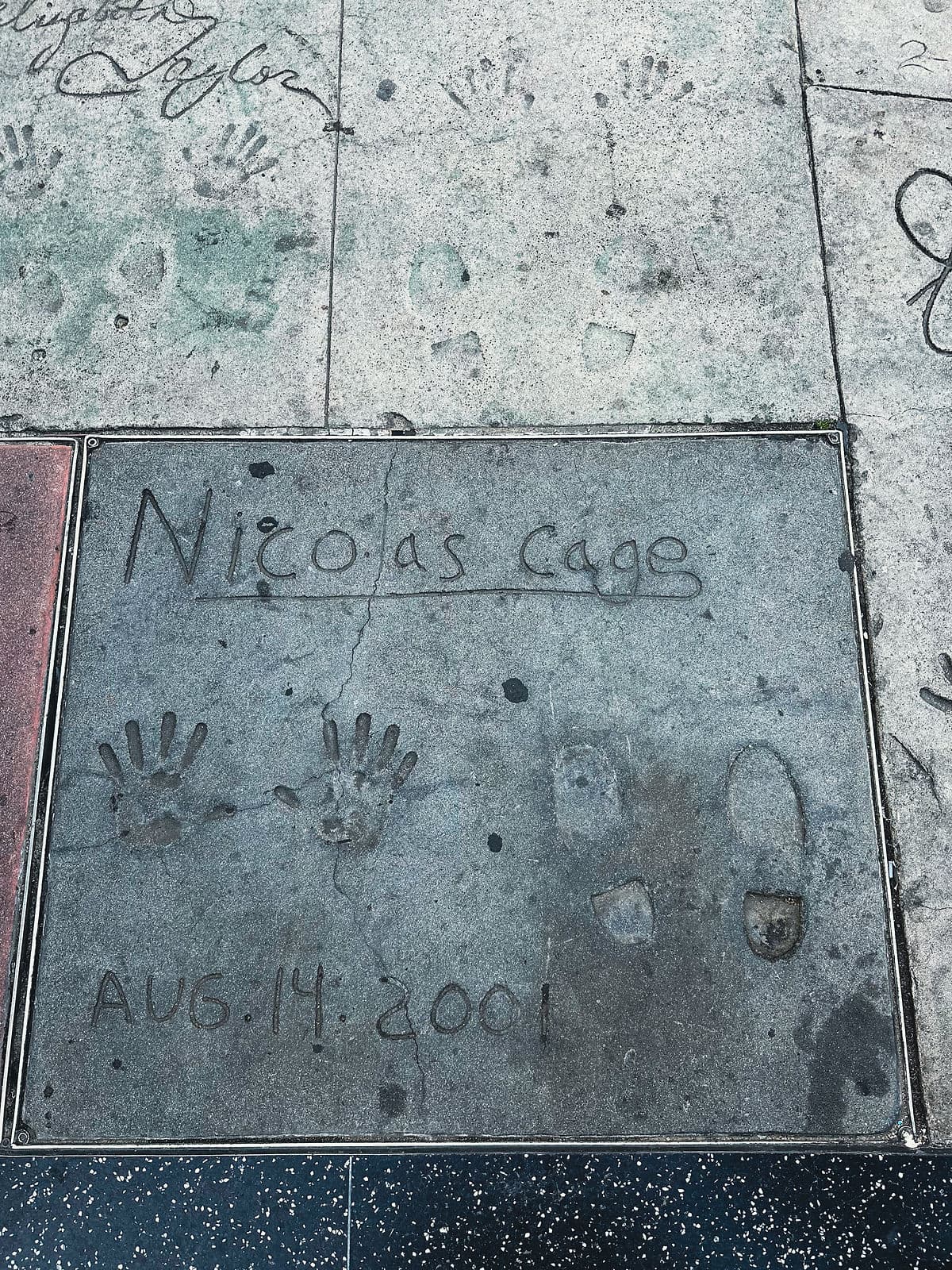 hollywood anestventure