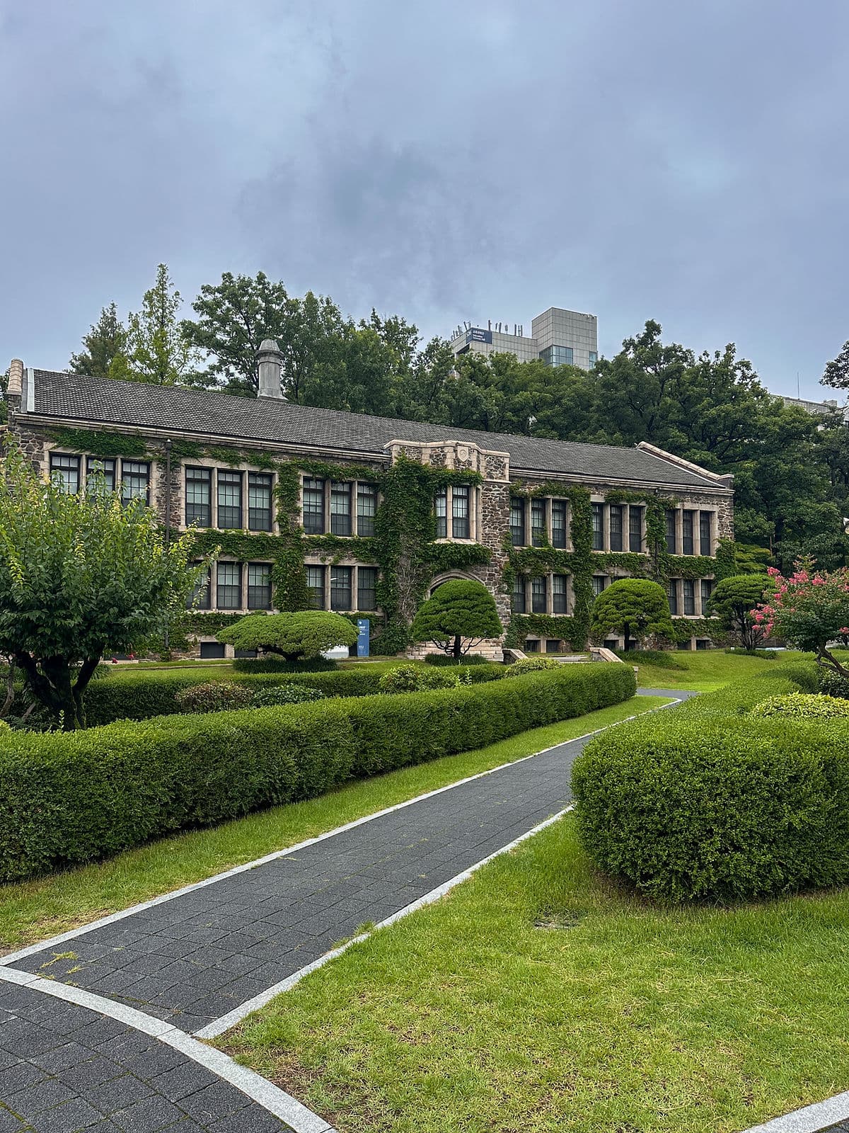 Yonsei University anestventure