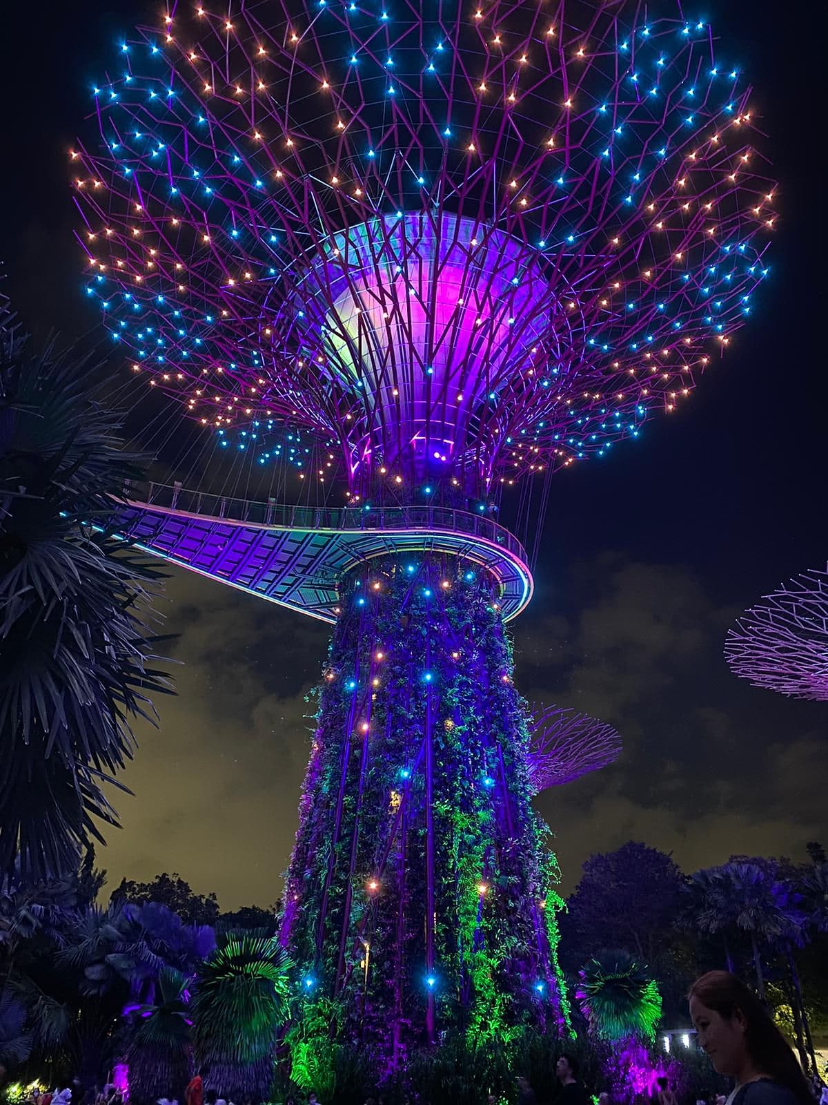 supertree anestventure