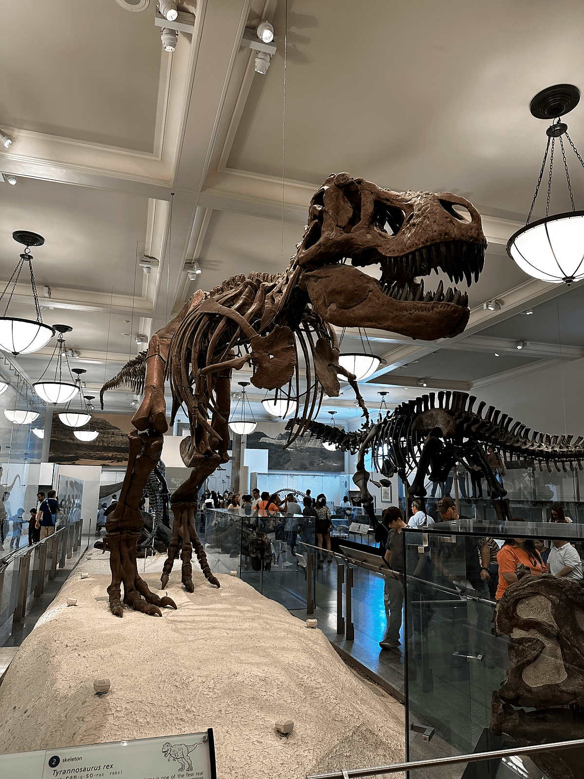 met museum