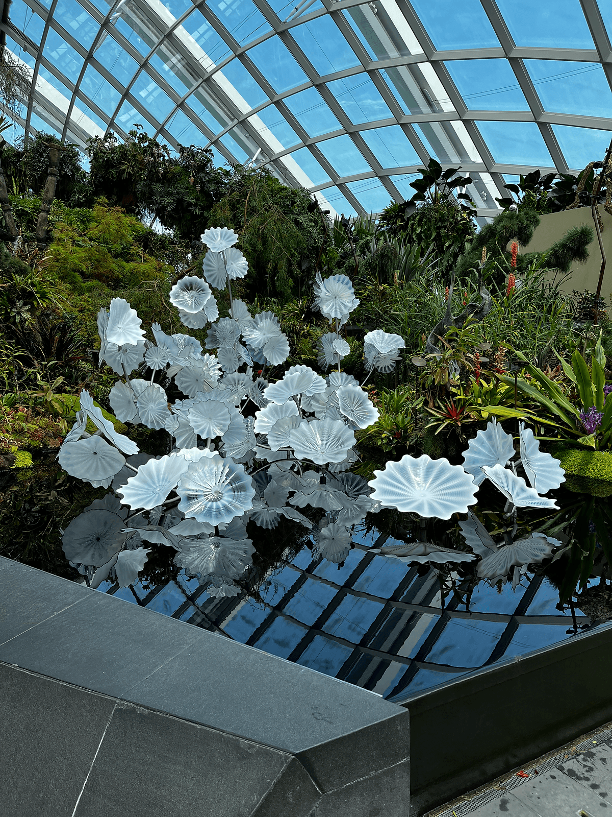 flower dome anestventure