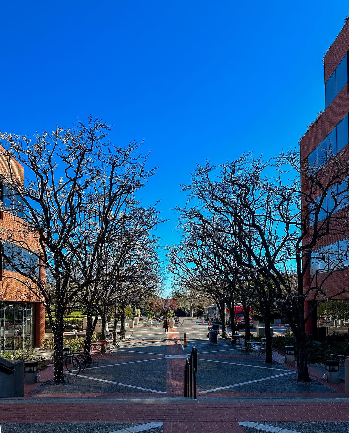san francisco anestventure