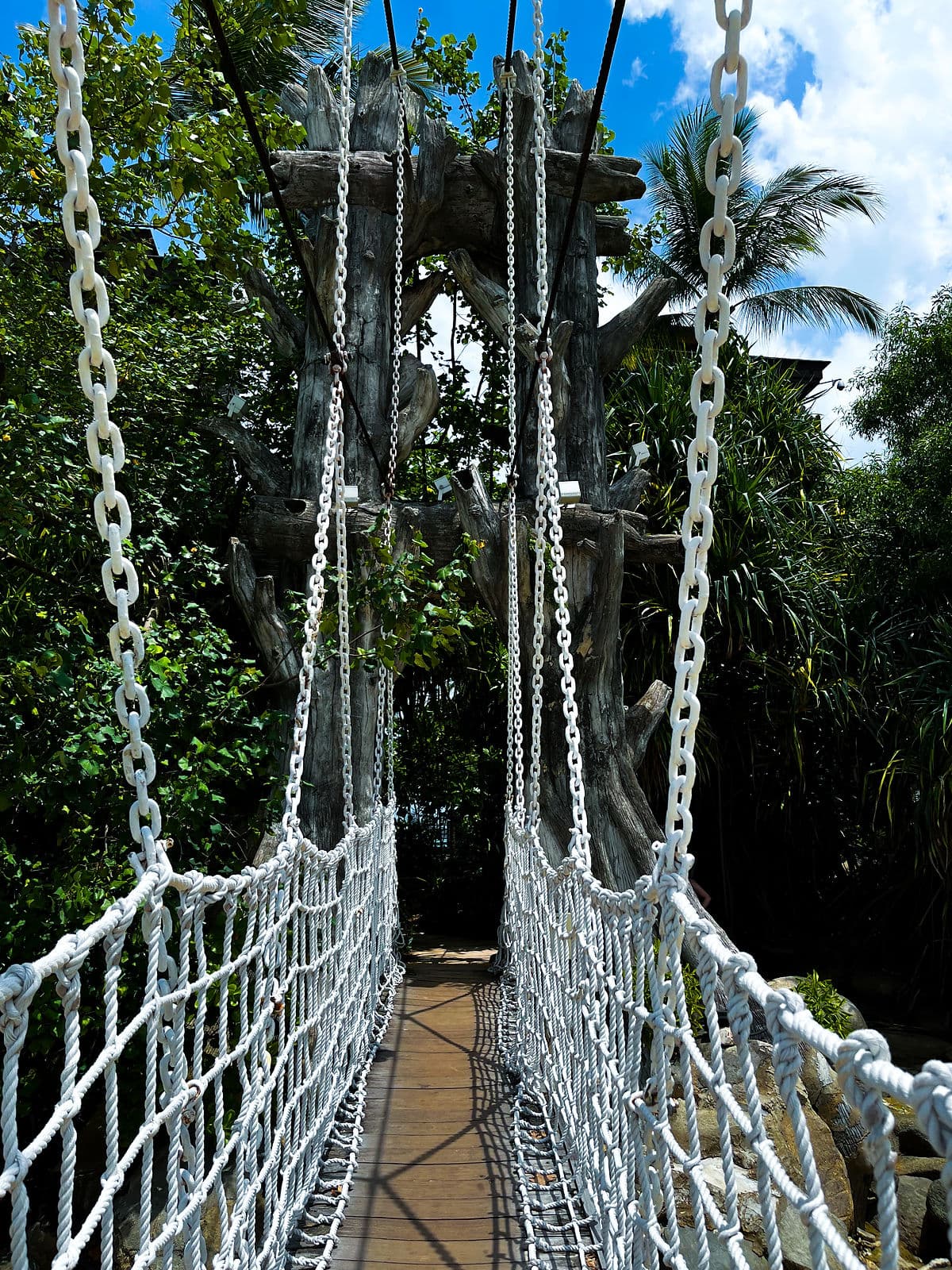 palawan beach anestventure
