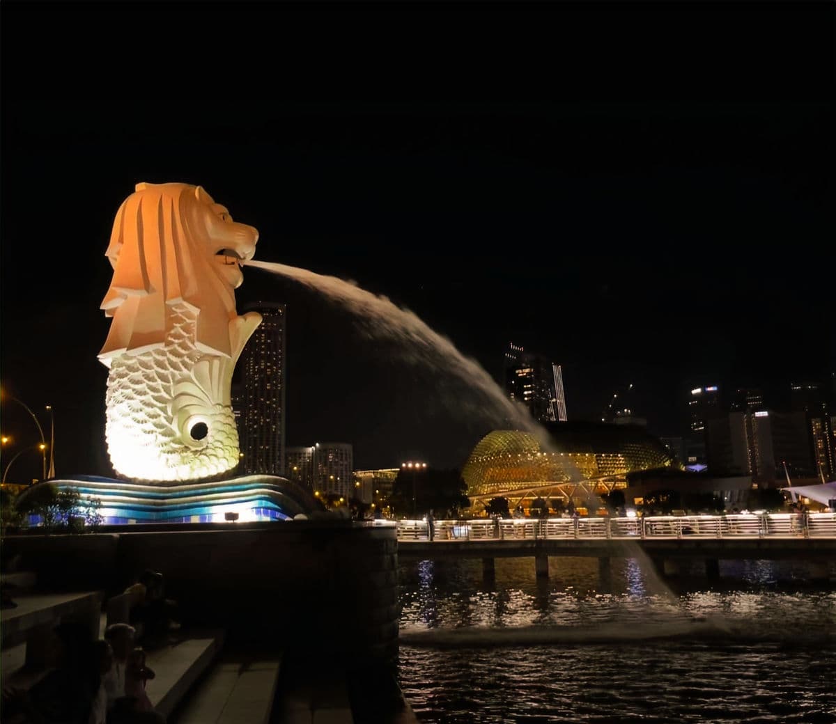 merlion anestventure