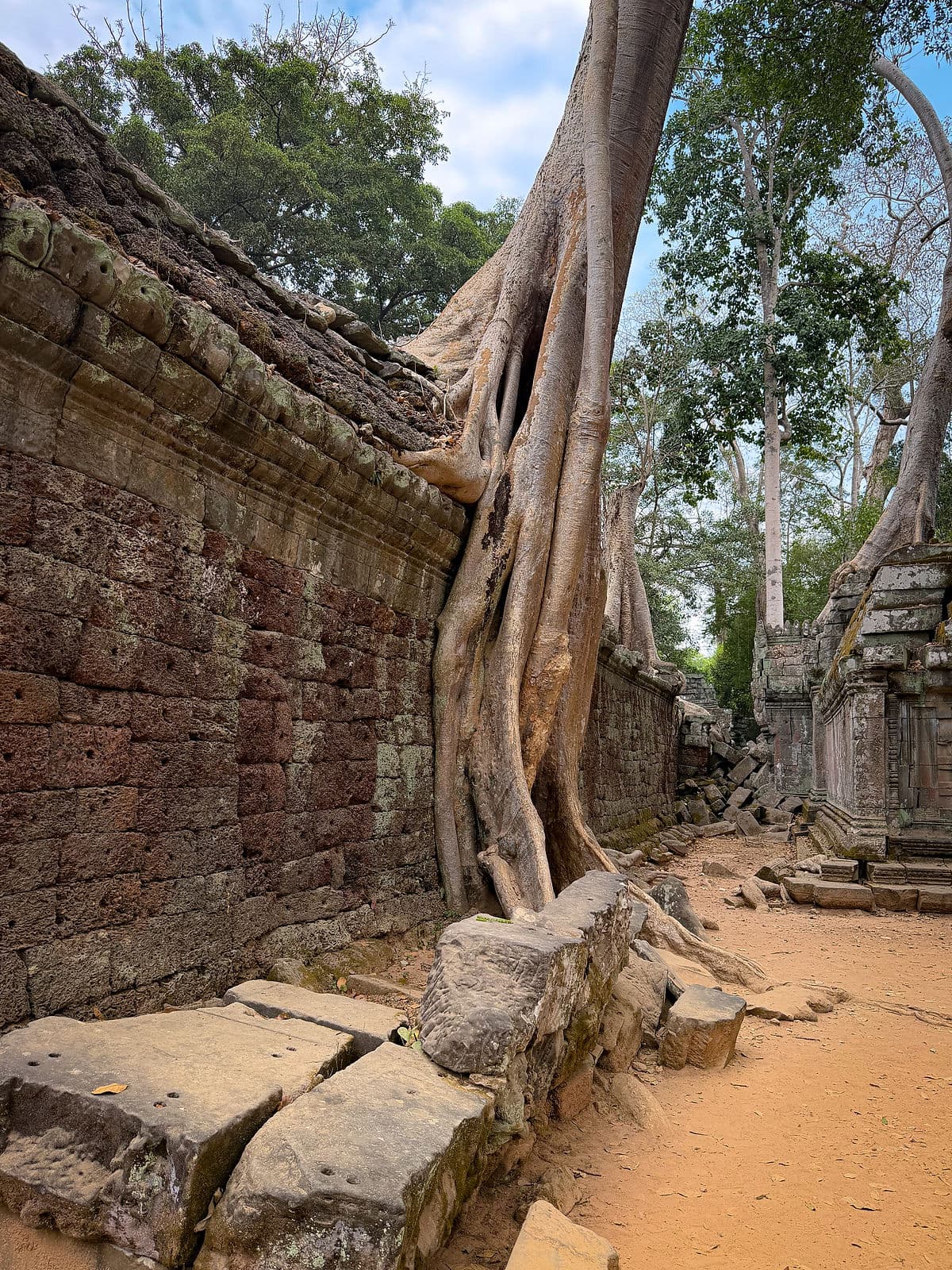 Ta Prohm