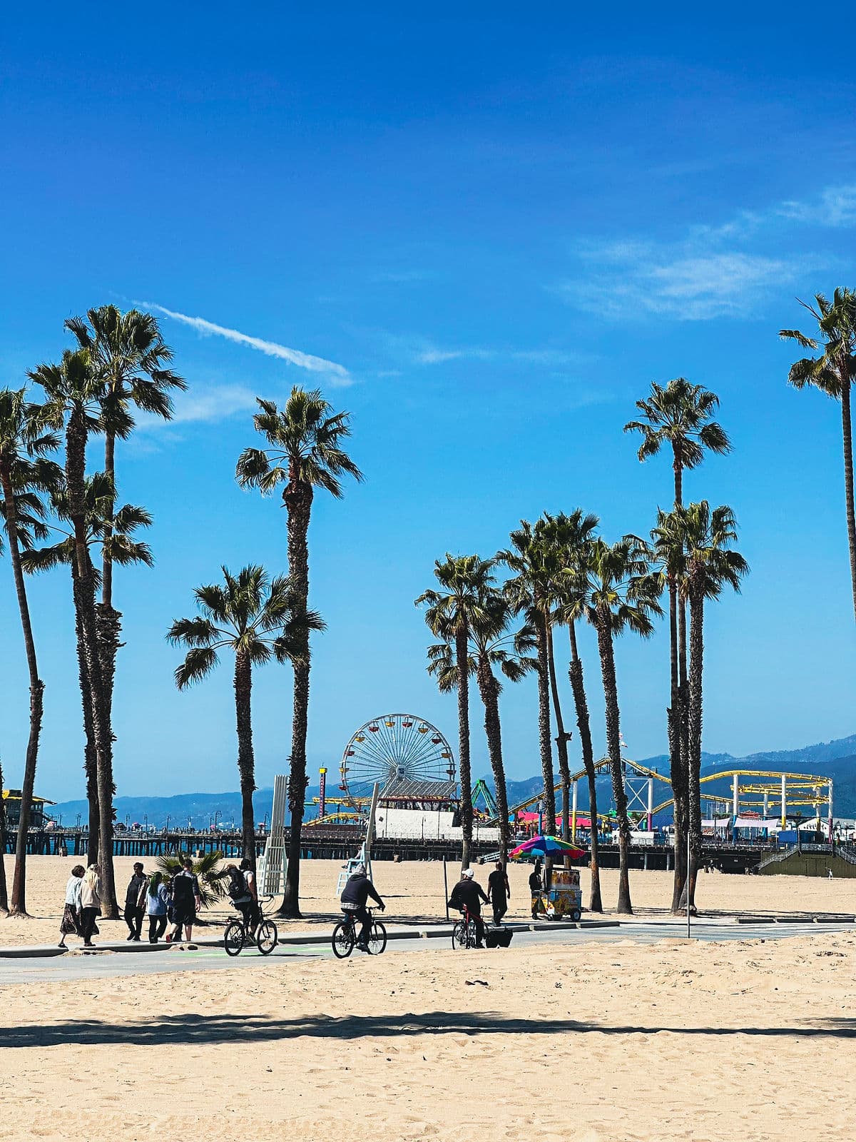 Santa Monica Pier anestventure