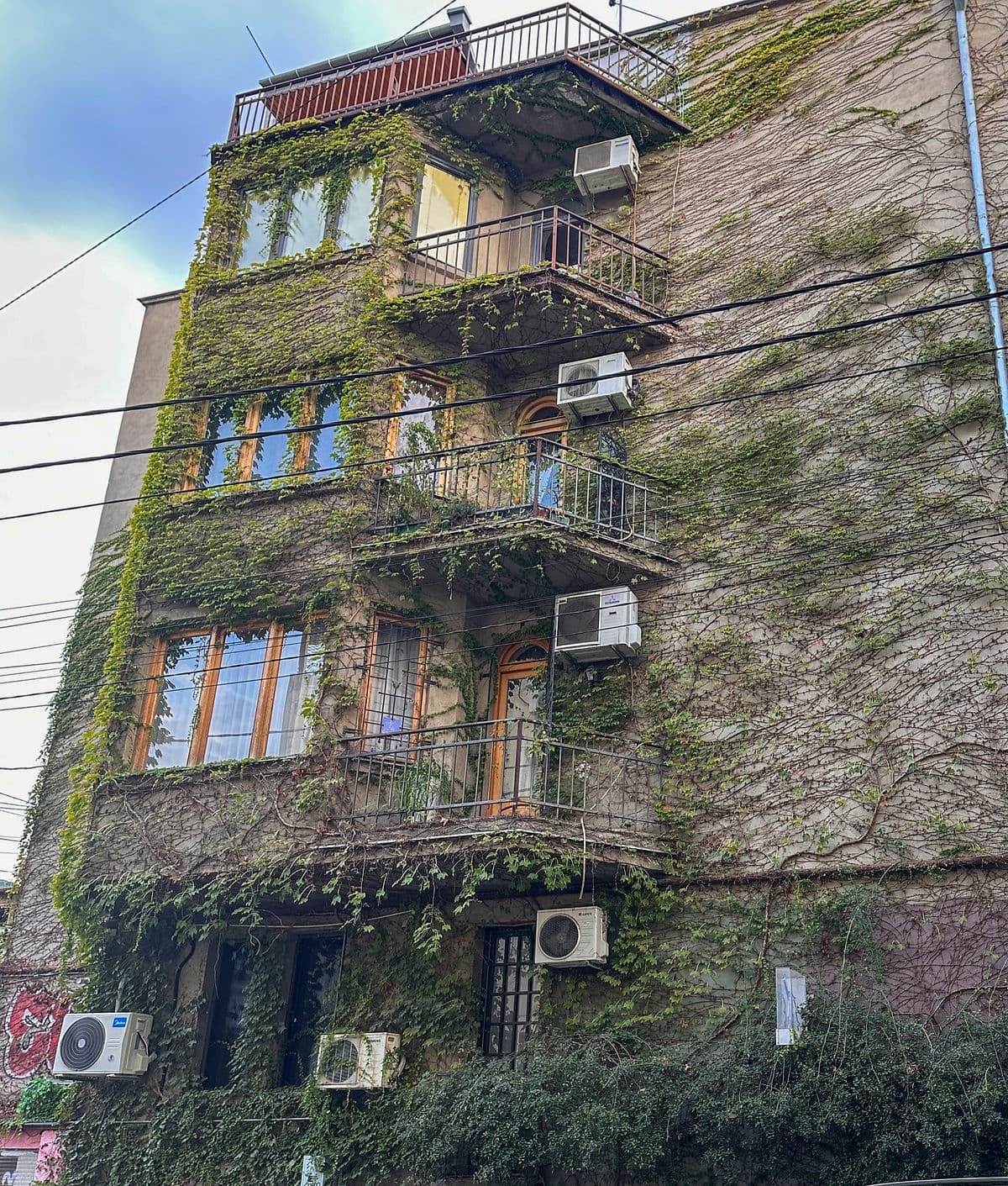 tblisi anestventure