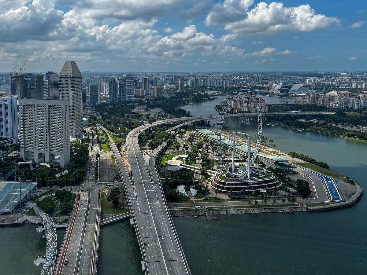 singapore flayer anestventure