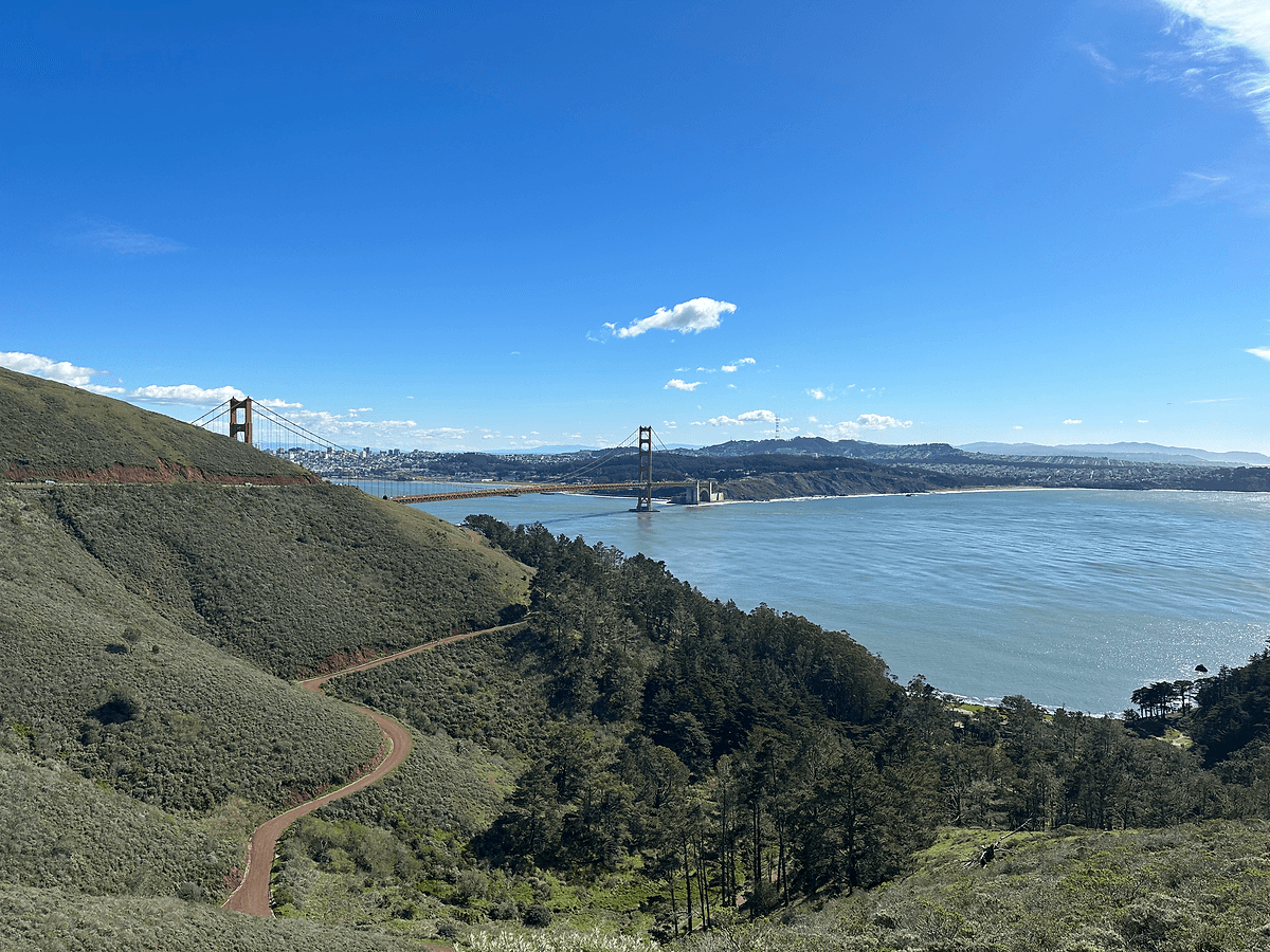 SAN FRANSİSCO anestventure