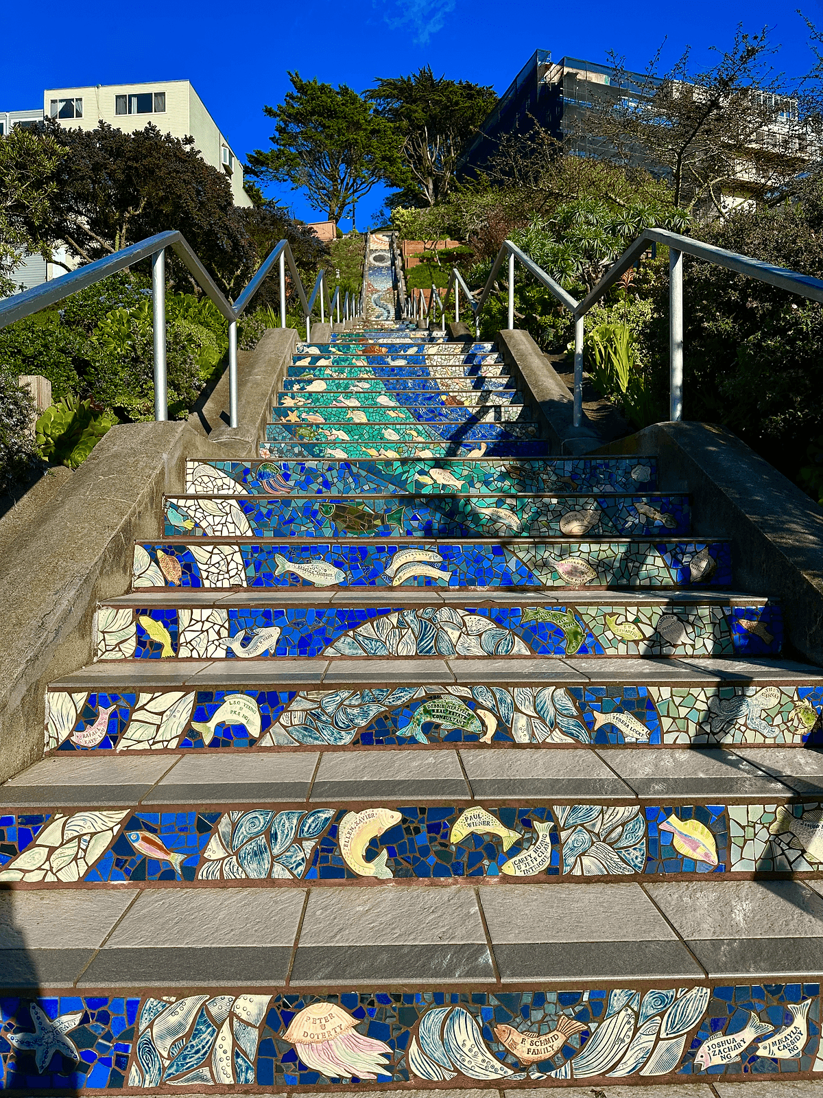 Lyon Street Steps anestventure