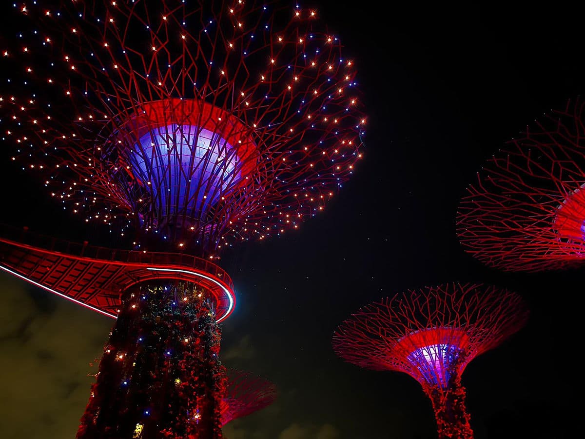supertrees anestventure