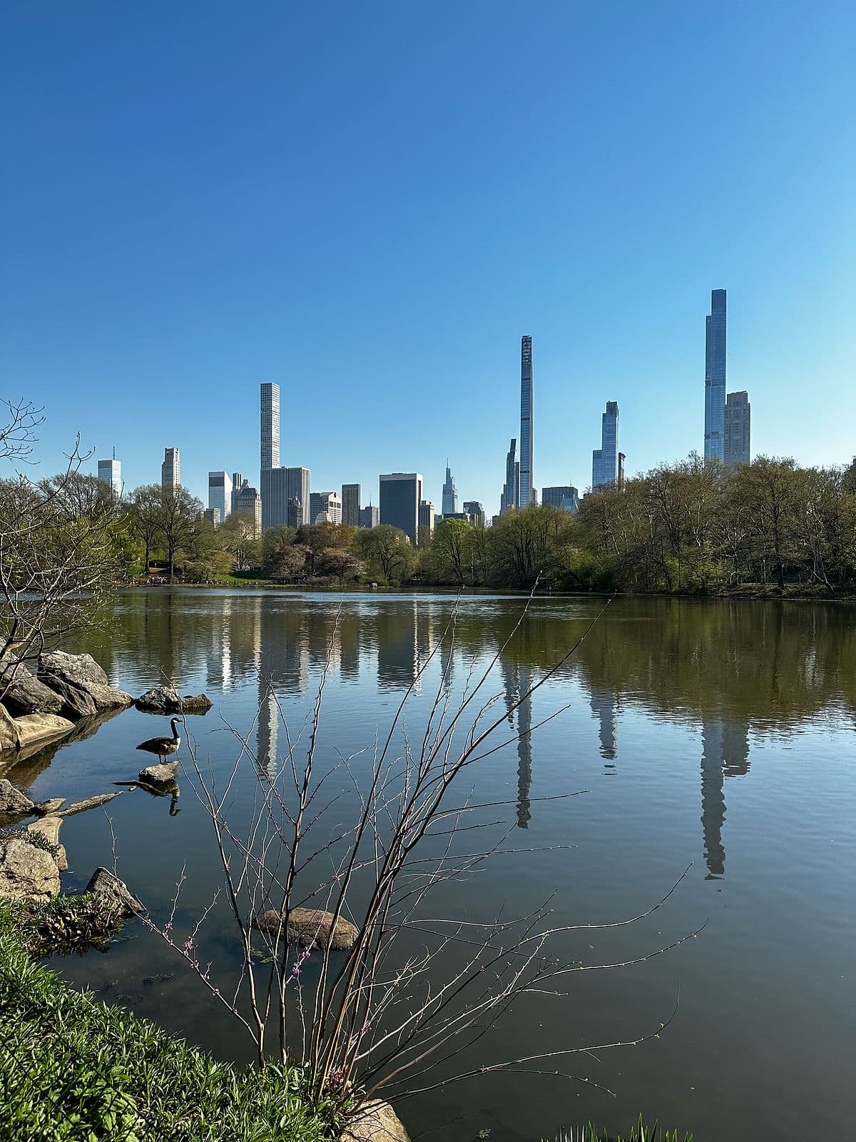 central park