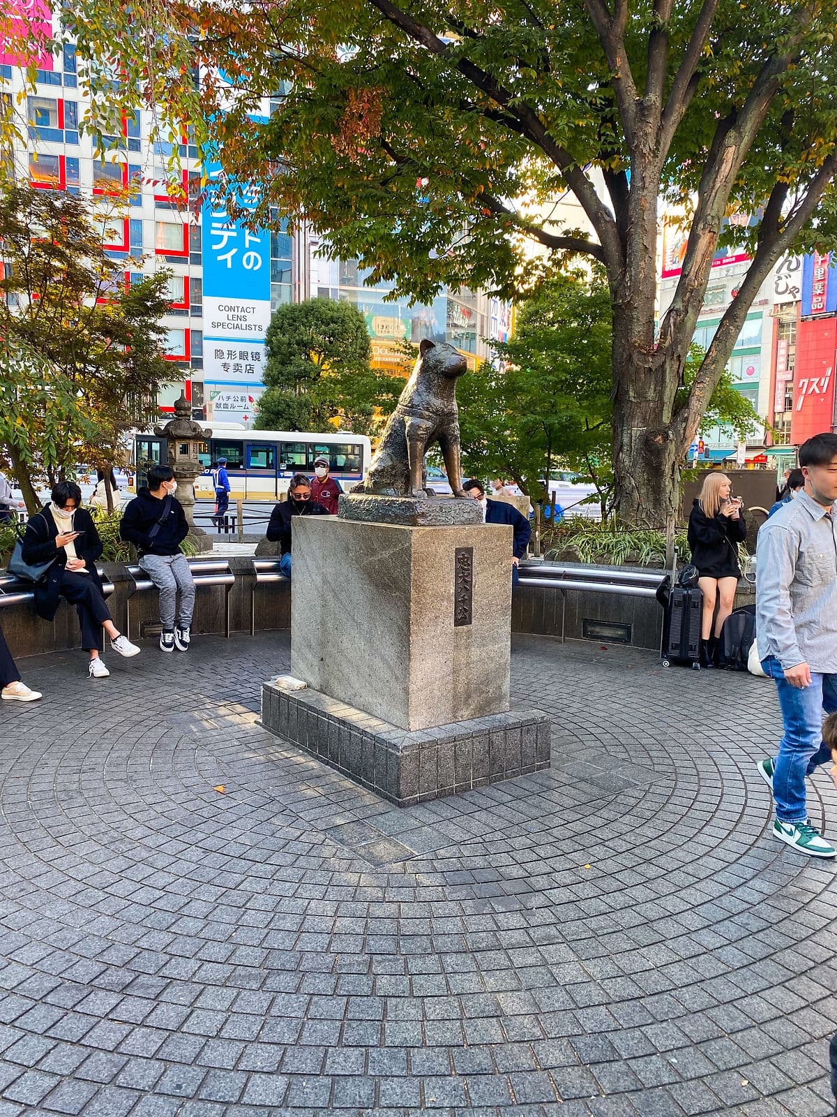 Hachiko