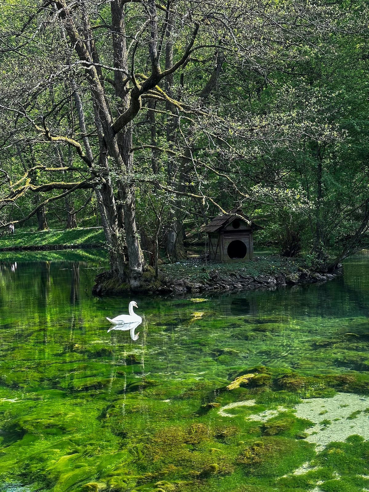 Vrelo Bosne anestventure