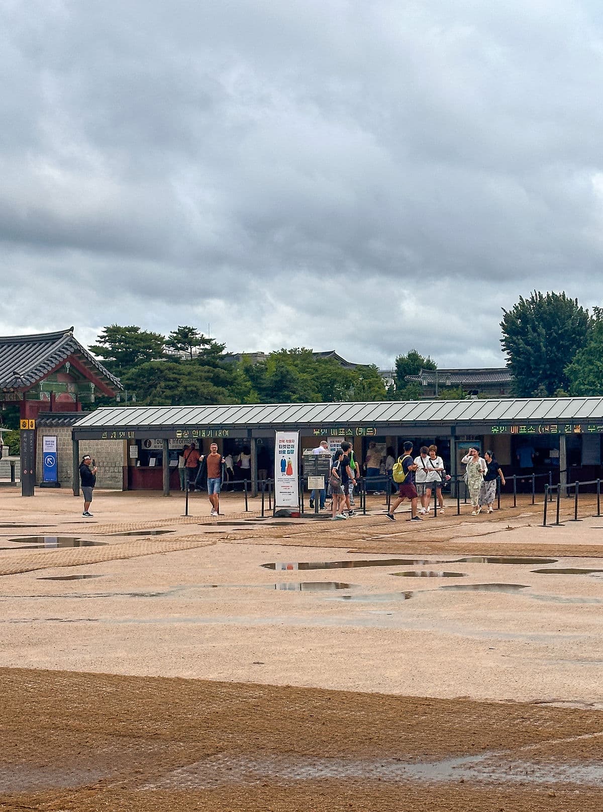 gyeongbok anestventure