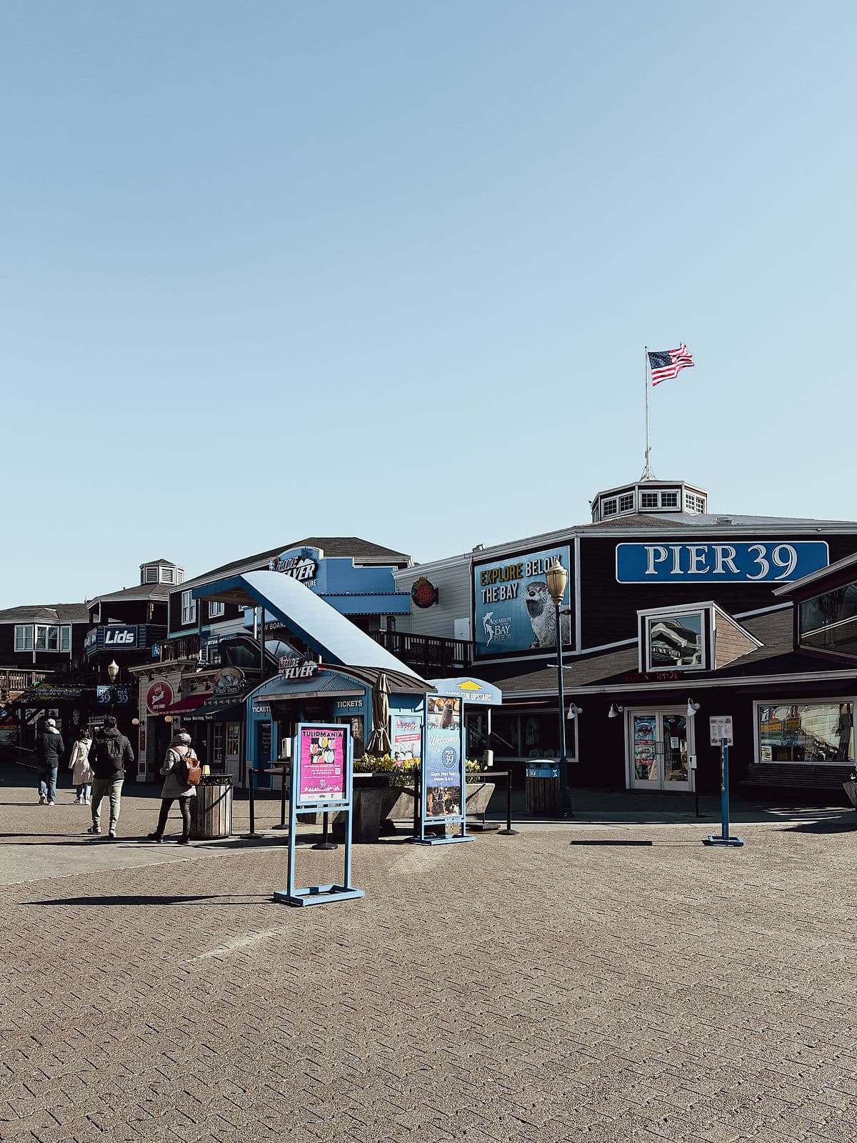 pier 39 anestventure berfin özelsel