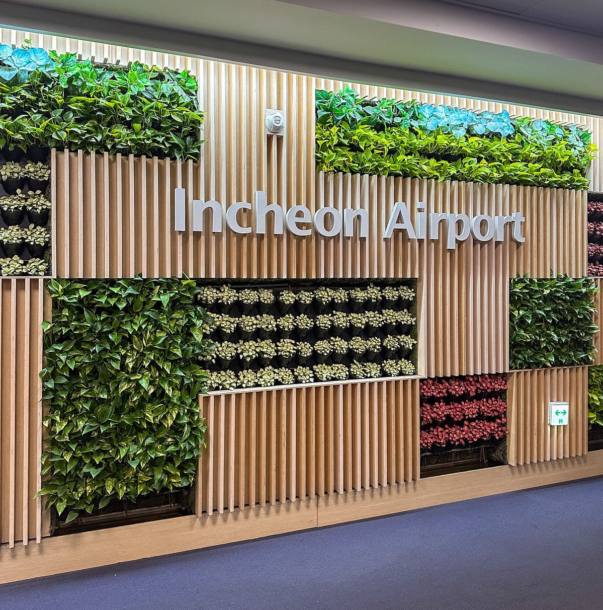 ıncheon airport anestventure