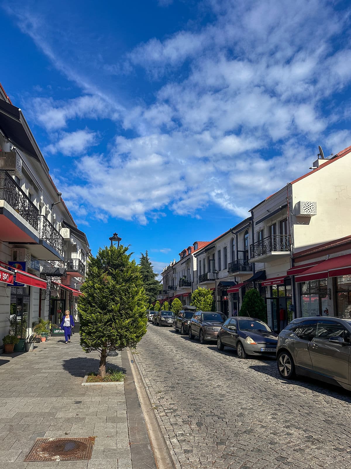 Gamsakhurdia Caddesi anestventure