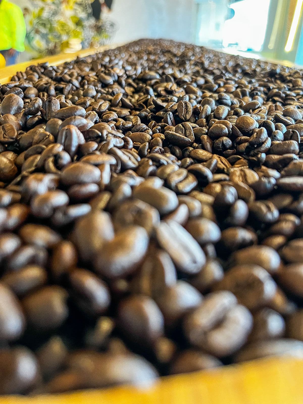 coffe beans anestventure