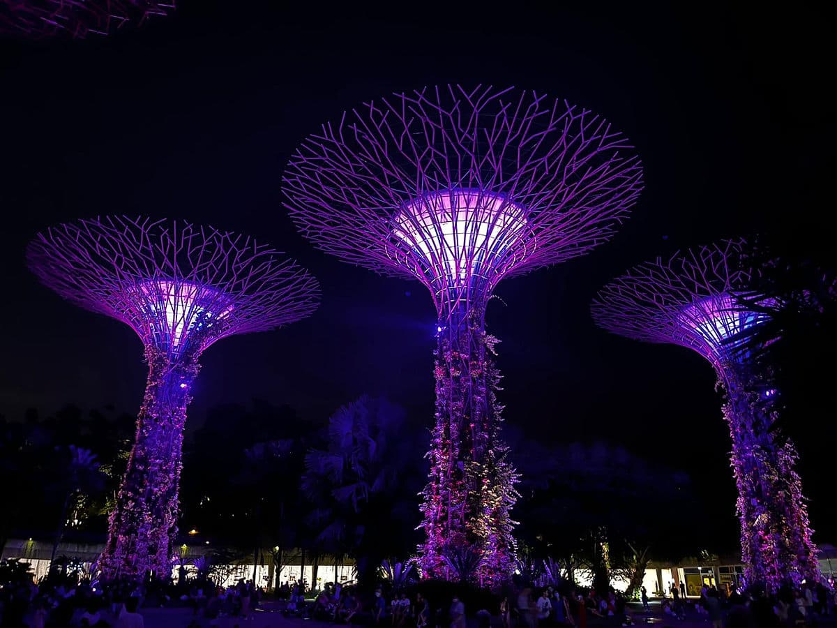 supertree anestventure