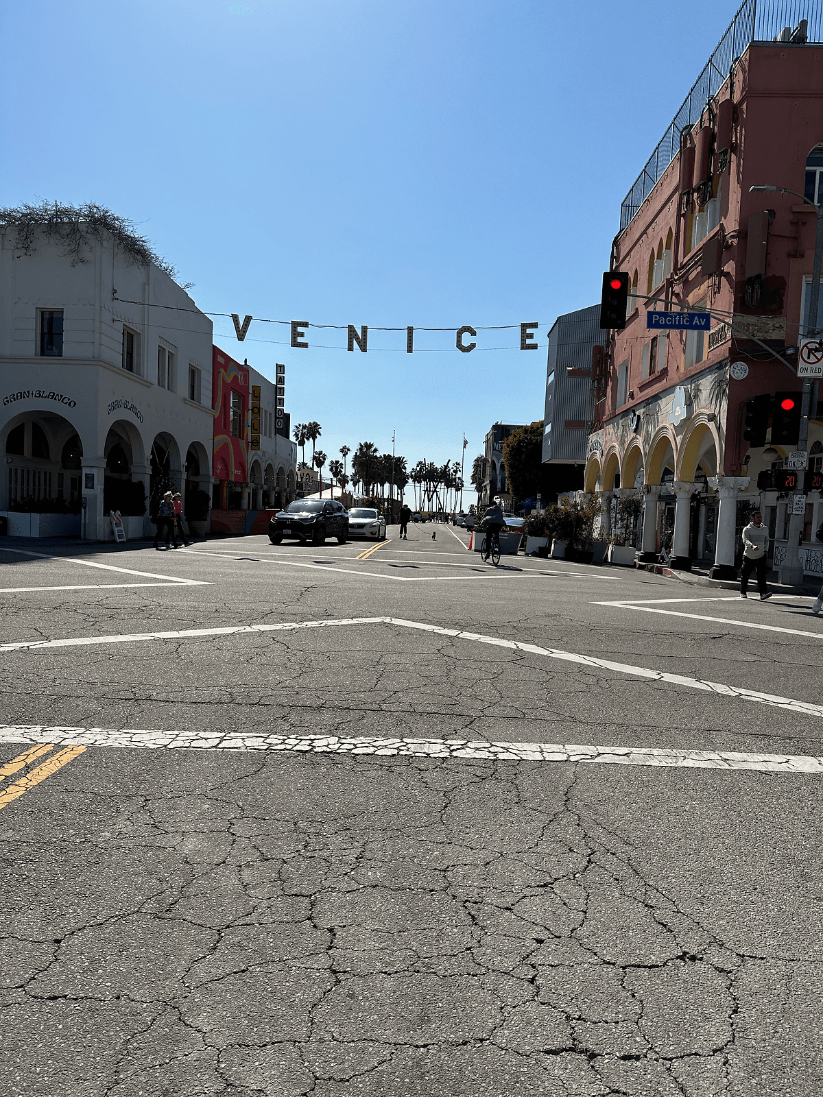 venice beach anestventure