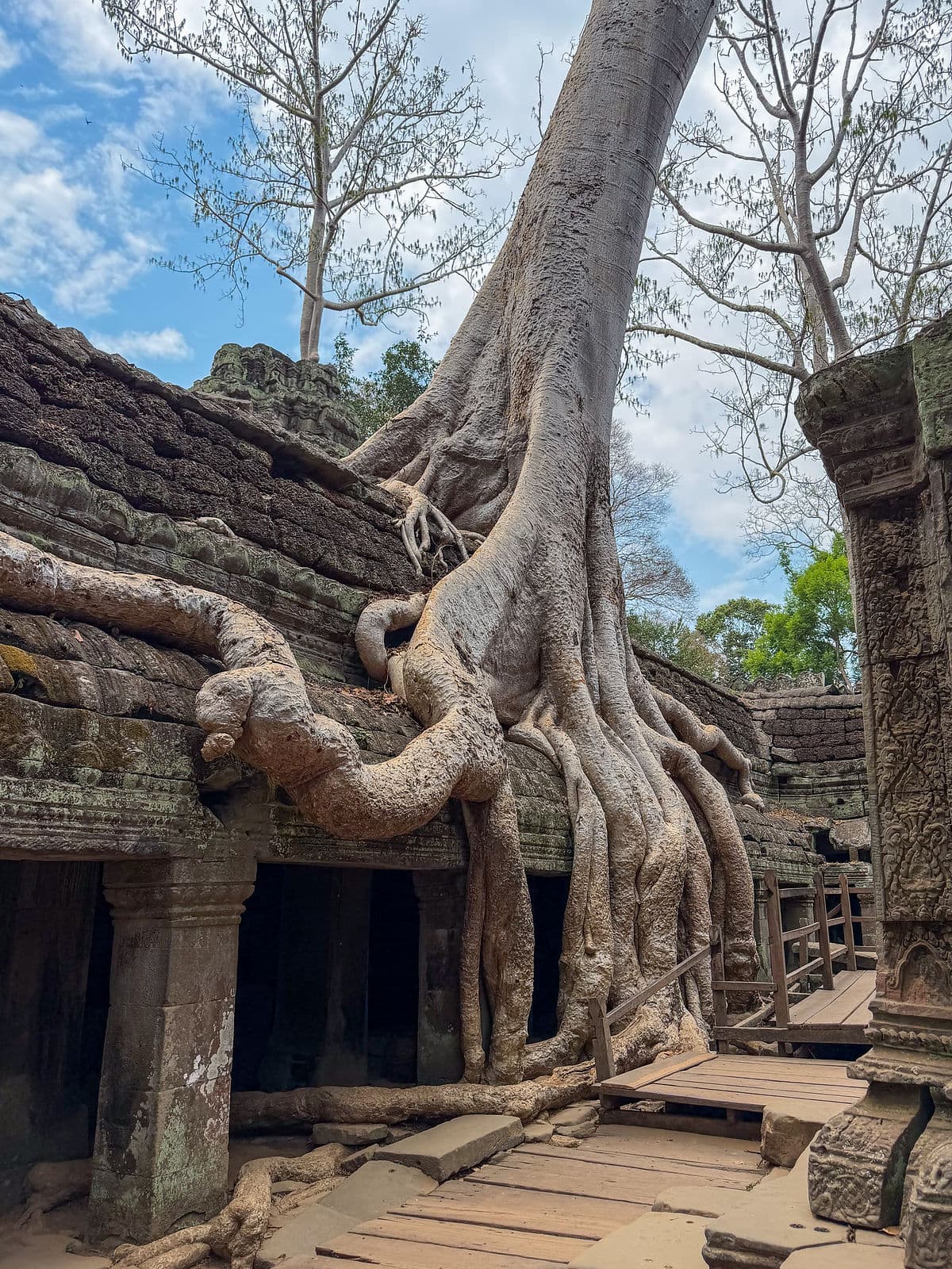 Ta Prohm