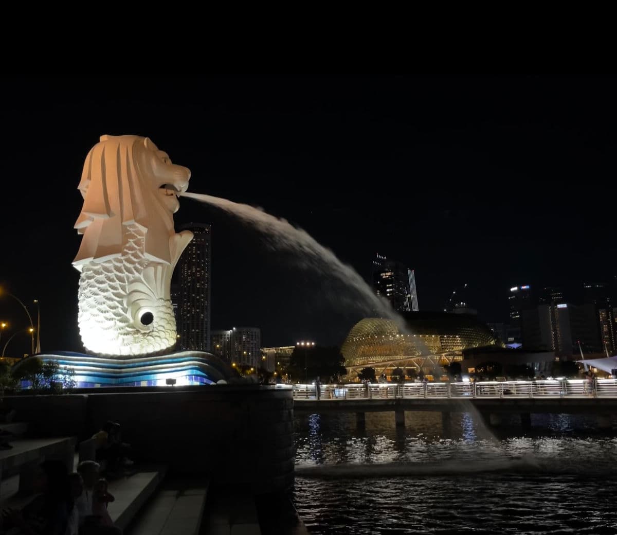 merlion anestventure