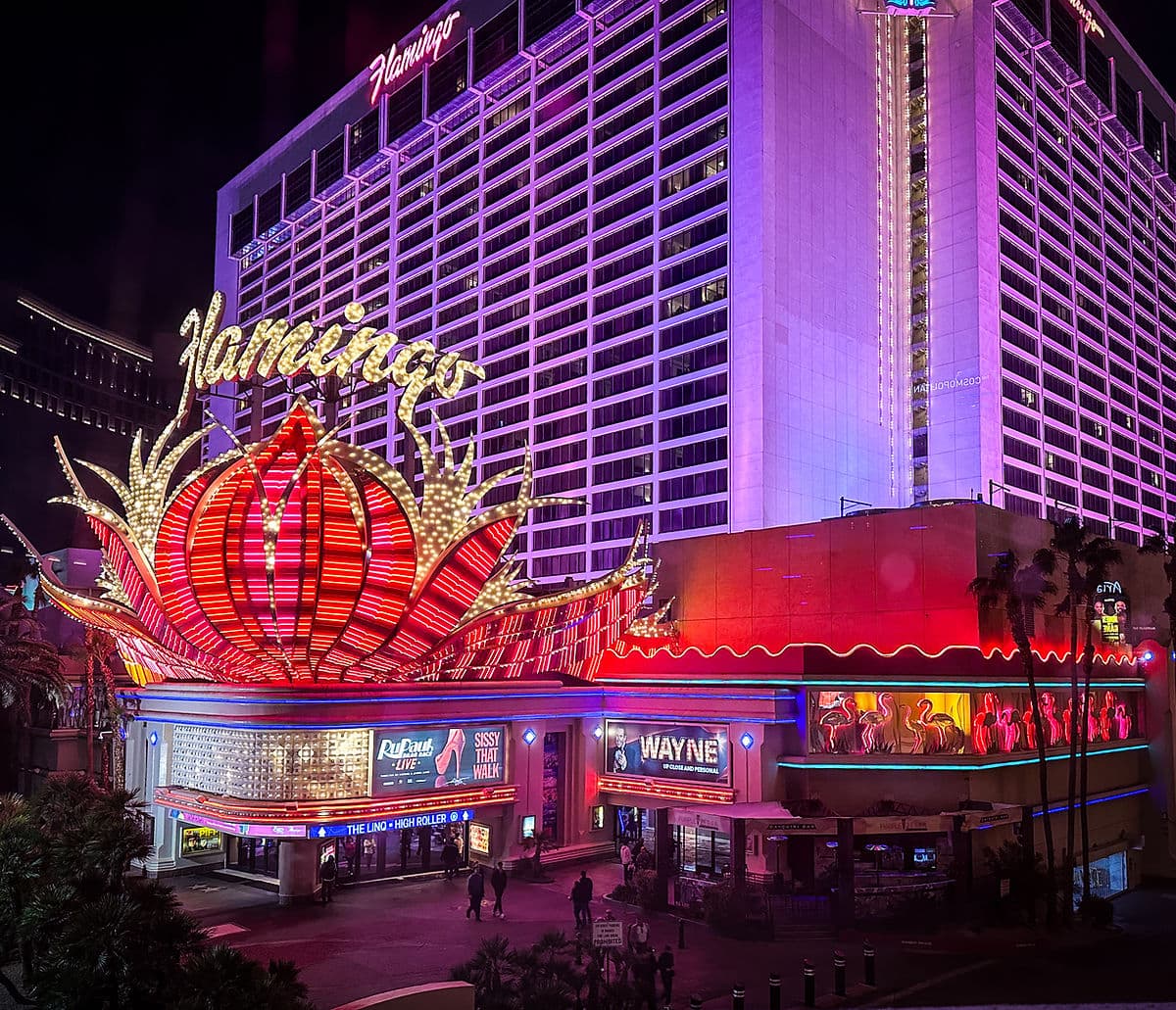 flamingo anestventure