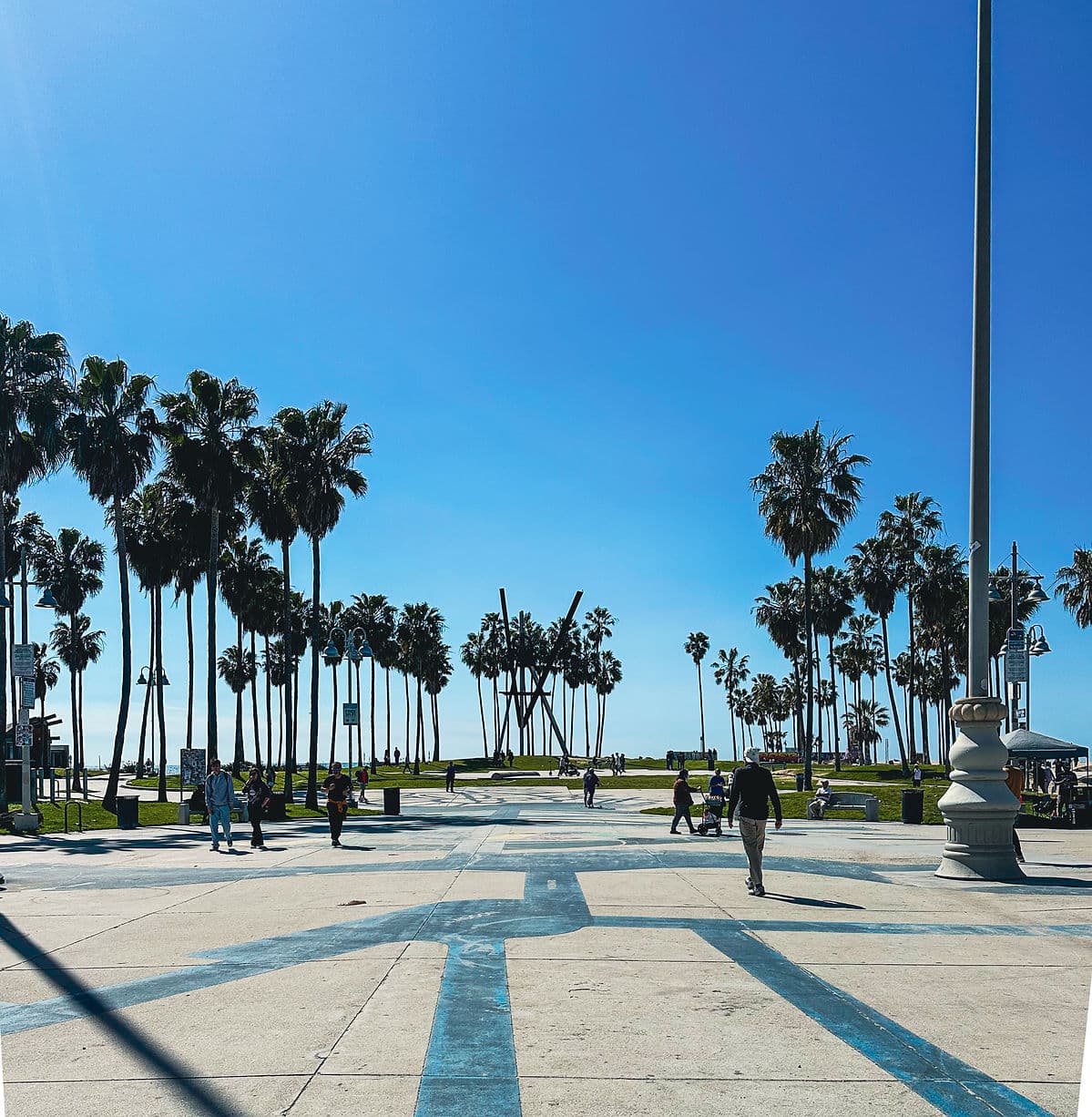 venice beach anestventure