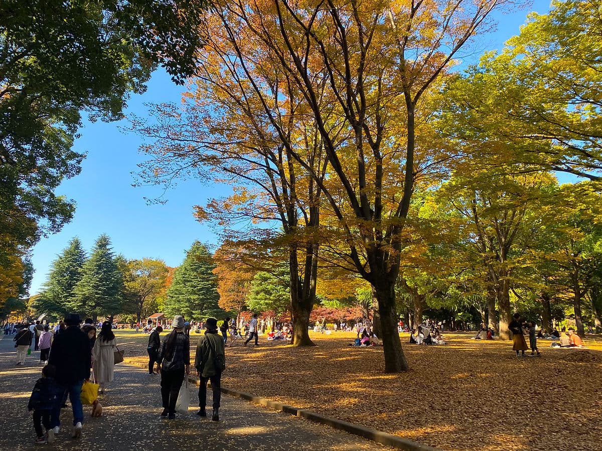 YOYOGİ PARK